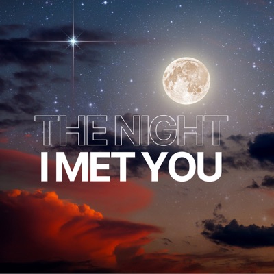 The Night I Met You - Single