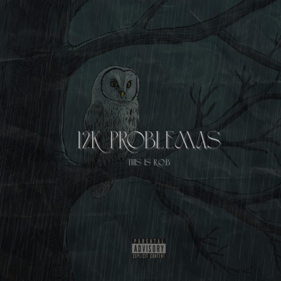 12K PROBLEMAS - Single