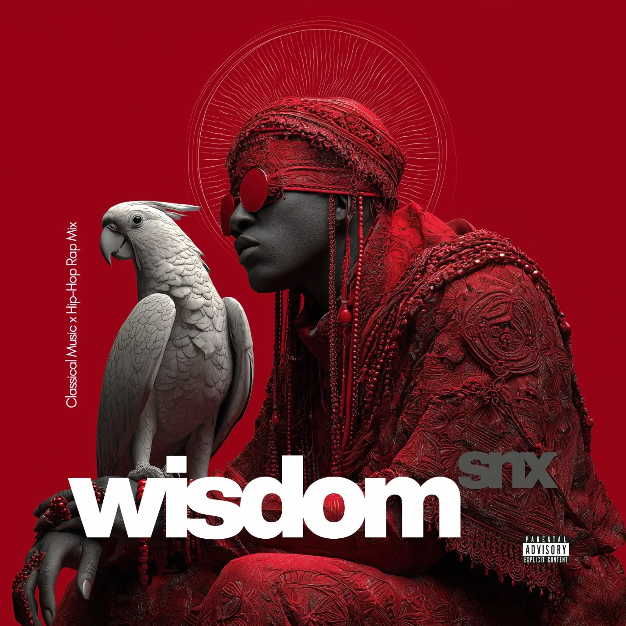 Wisdom - album by SNX