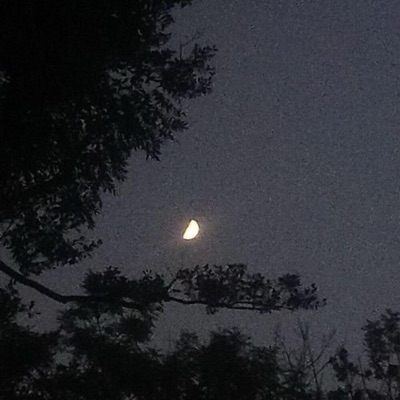 HILFST DU MIR? - Single