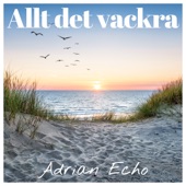 Allt det vackra artwork