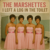 Lost Vinyl Revival - I Left A Log In The Toilet (1968) (feat. The Marshettes) artwork