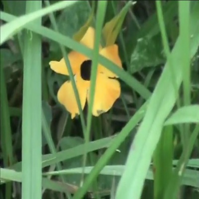 Un hombre (Demo) - Single