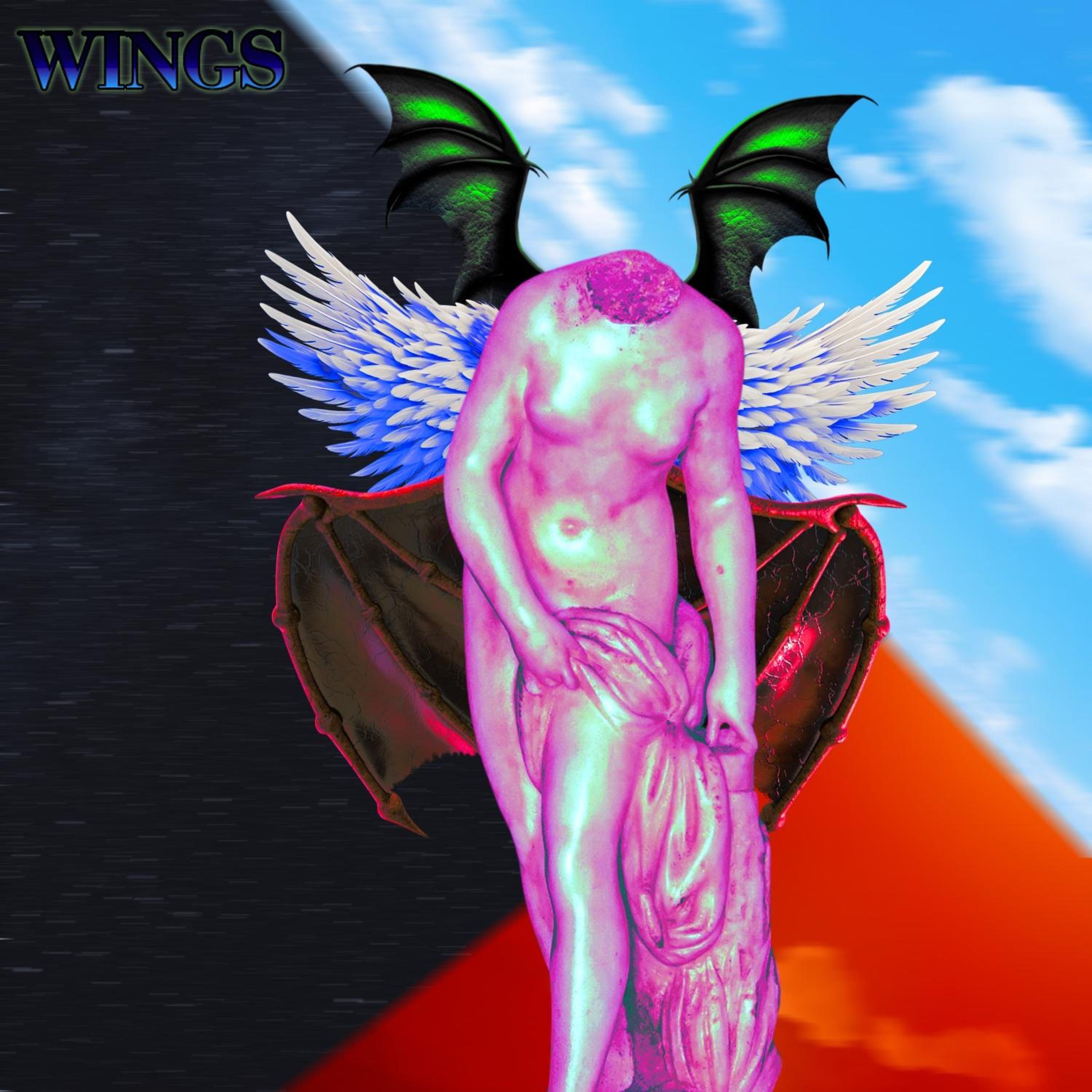 Wings
