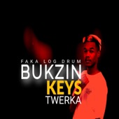 Twerka 4.0(African Music) artwork