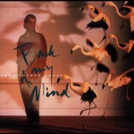 Album - Christopher Cross - I Will (Take You Forever)