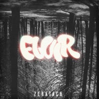 Fluir - Single - Zebatack