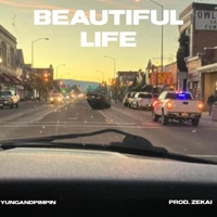 Beautiful Life - Single - yungandpimpin