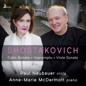 Cello Sonata in D Minor, Op. 40 (Arr. for Viola & Piano by Anonymous): III. Largo