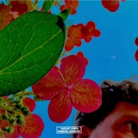 PAPER PLANES - Single - Scimmy