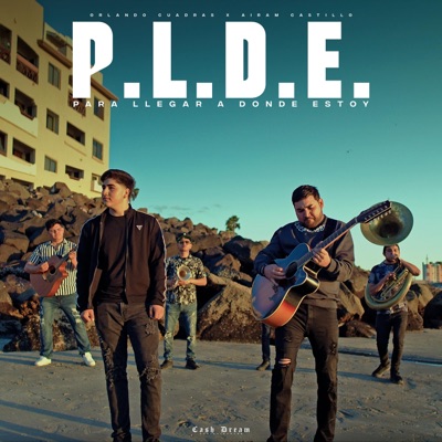P.L.D.E. - Single