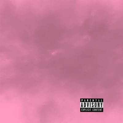 Osha 30 - Single