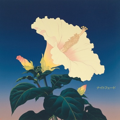 nightfade - Single