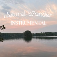 Natural Wonder (Instrumental) - Single - Myles Brown