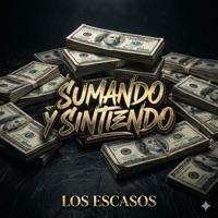 Sumando Y Sintiendo (feat. $INKEN) - Single