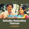 Nalladhu Nadandhey Theerum (Original Motion Picture Soundtrack) - Single