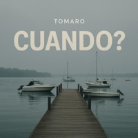 Cuando Instrumental - Single - Tomaro