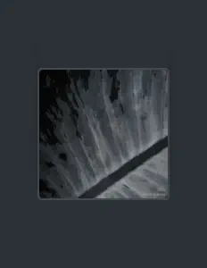 Zignを聴いたり、ミュージックビデオを鑑賞したり、経歴やツアー日程などを確認したりしましょう！