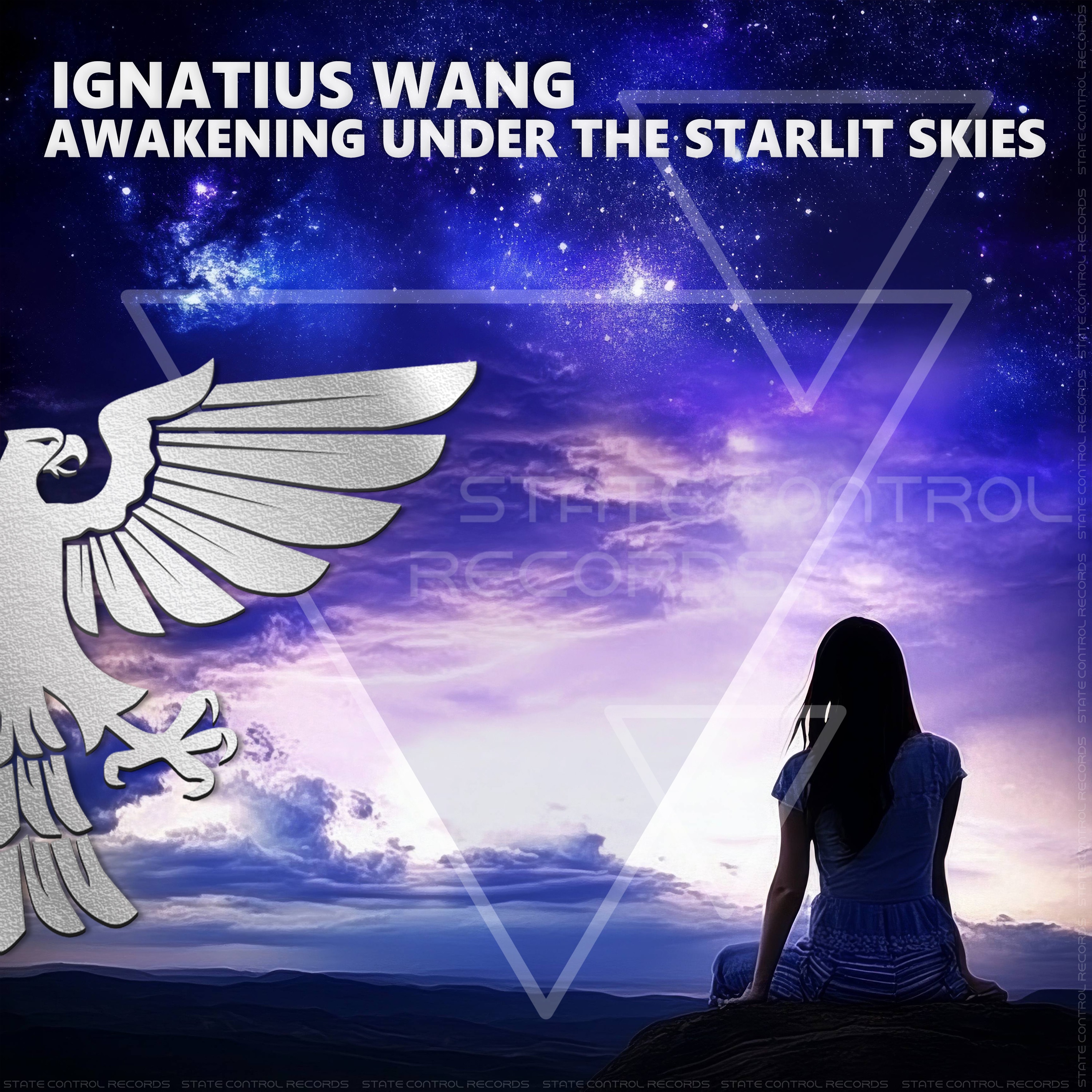 Awakening Under the Starlit Skies - Single