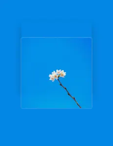 Ακούστε περιεχόμενο από Kakonoe, παρακολουθήστε μουσικά βίντεο, διαβάστε το βιογραφικό, δείτε ημερομηνίες περιοδείας, και πολλά ακόμη!