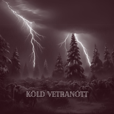 Brynjar Ólafsson - Köld Vetranótt (Instrumental) - Single