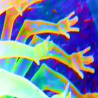 #phony - Single - taiketsu