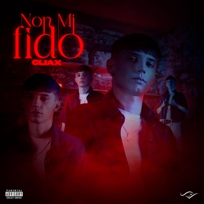 Non Mi Fido - Single