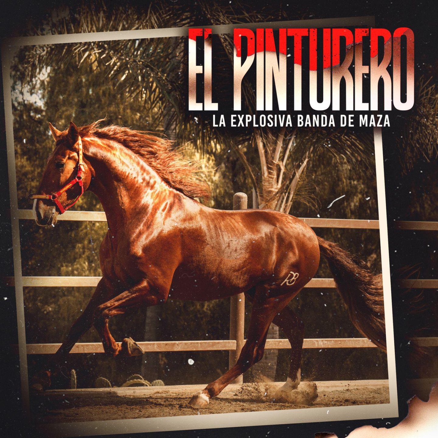El Pinturero - Single