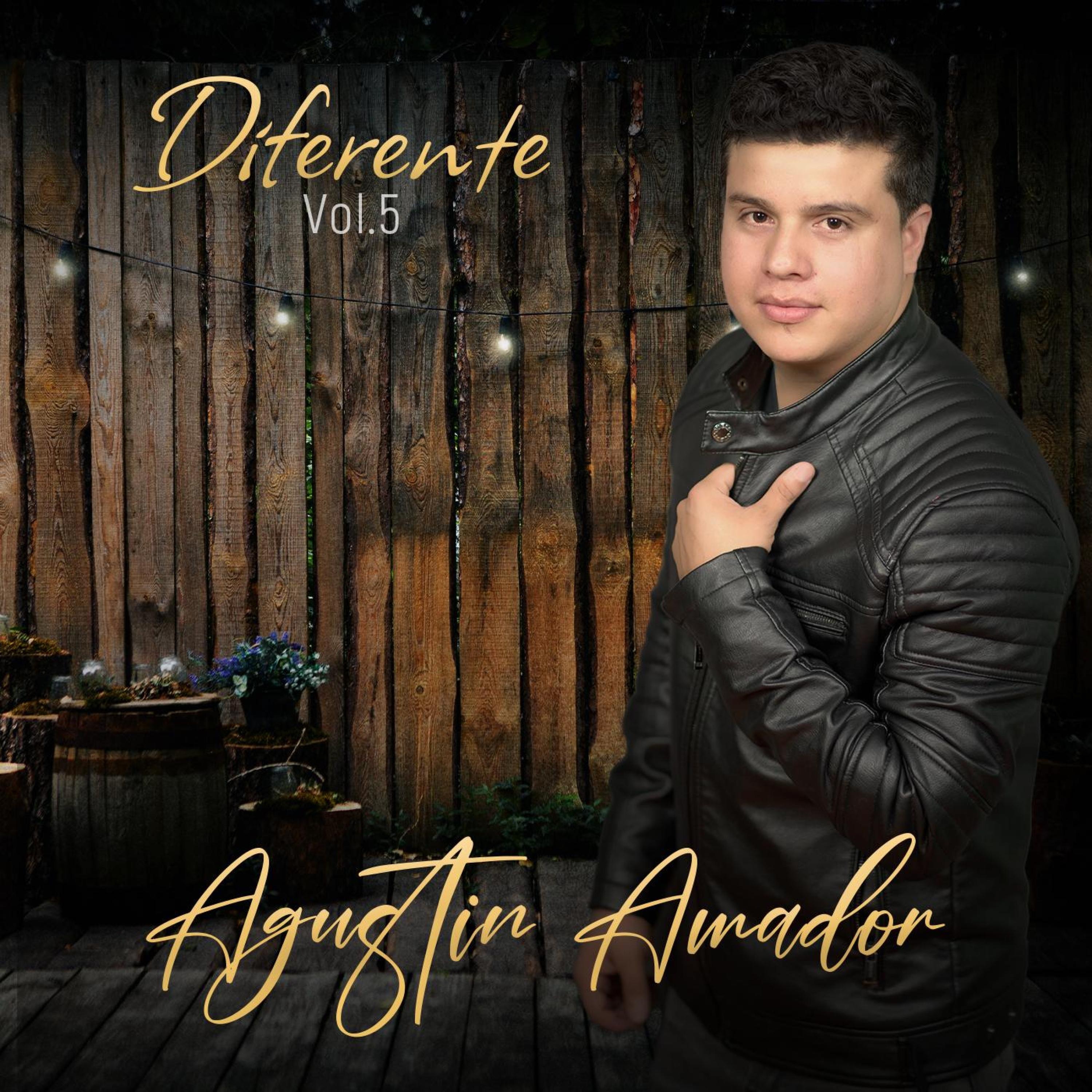 Diferente, Vol. 5 (feat. Nery Amador) - Single