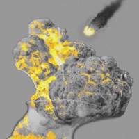 Uyashisa - Single - LYFE