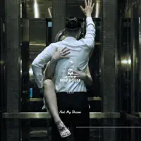 Feel My Desire — MISTER DEEP HOUSE
