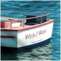 Wish I Was