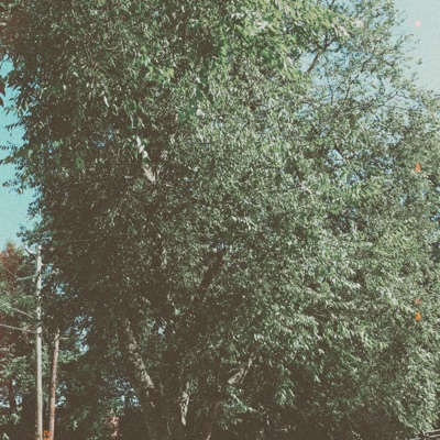 sorry for that. - Single