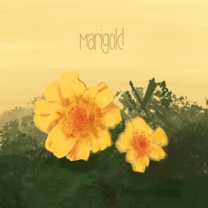 Marigold - Single