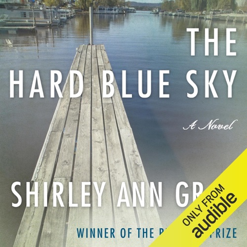 The Hard Blue Sky (Unabridged) cover