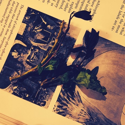 ONYO, Lion's Gate remission - Single