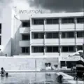 Intuition
