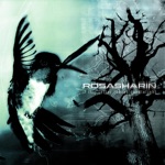 Rosasharin - When Mercia Withered into the Severn