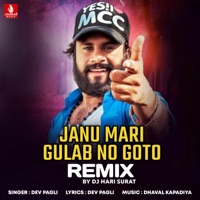 Janu Mari Gulab No Goto Remix (DJ Hari Surat) - Single - Devpagli
