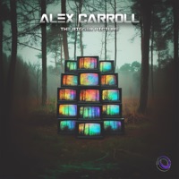 The Bigger Picture - Alex Carroll
