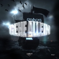 Gehe allein (Rap La Rue) - Single - MEL