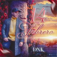 14 de febrero - Single - Dnk