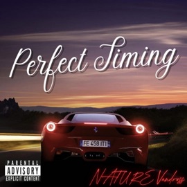 Perfect Timing NATURE Vandross