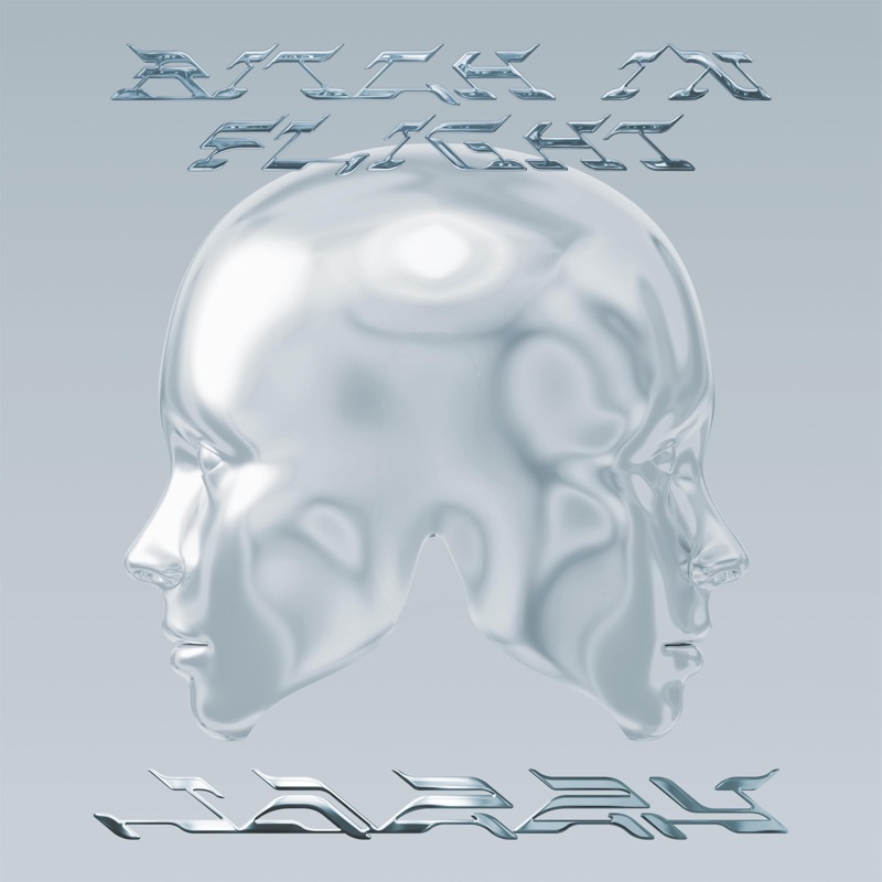 Album art for BITCH IN FLIGHT