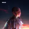 Vulnerable