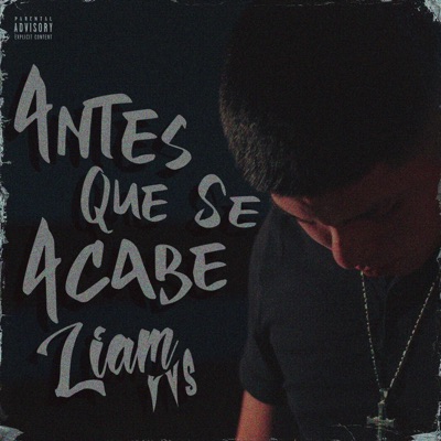 ANTES QUE SE ACABE - Single