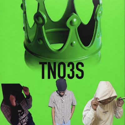 TNO3S