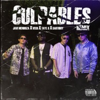 Culpables (Remix) - Single - Javi Mendoza, Veco, Tayl G & Sartiboy