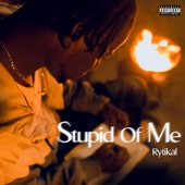 Stupid of Me artwork