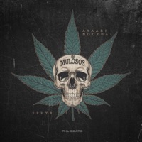MULOSOS (feat. AYAARI NOCEDAL) - Single - SEKYR